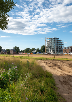 토지면세, 과세면세 이미지